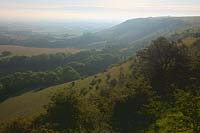 Sussex low weald South Downs Ditchling Beacon view across fields pasture green trees hedgrow traditional English England