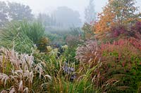Marchants Sussex early autumn fall borders perennials ornamental grasses September mist misty morning garden plant combination