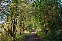 disused railway line public footpath bridleway walking cycle cycling rural country green road hollow covered leafy native