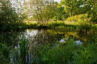 natural wildlife pond water woodland edge Marden Meadow East Kent spring flower native wild perennial May National Nature