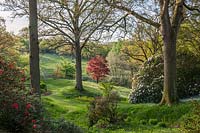 High Beeches garden Sussex