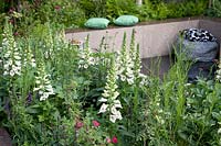 The Roots in Finland Kyrö Garden at RHS Chelsea Flower Show 2019 - An urban garden with meadow plants including Digitalis, Salvia and Cornflower around a sunken patio. Designer- Taina Suonio. Sponsored by Kyrö Distillery Company Ltd 