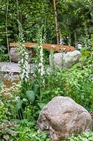 Family Monsters Garden - RHS Chelsea Flower Show 2019 - View over mixed border of planting to wood bench - Design: Alistair Bayford - Sponsor: idverde Family Action