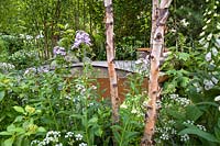 Woodland clearing with birch trees and pollinator-friendly plantingin The Family Monsters Garden at RHS Chelsea Flower Show 2019. Design: Alistair Bayford. Sponsor: idverde Family Action