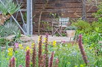 The Resilience Garden at RHS Chelsea Flower Show 2019. Designer: Sarah Eberle. Sponsors: Gravetye Manor Hotel and Restautant, Kingscote Estate, Forestry Commission, Royal Botanic Gardens Kew, Scottish Foresty, Welsh Government