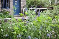 The Welcome to Yorkshire Garden. Wild planting, meadow, Camassia, blue lupin, umbellifers, blue cornflowers, Designer: Mark Gregory, Sponsor: Welcome to Yorkshire.