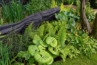 The M and G Garden. A lush woodland with blackened timber sculptures by Johnny Woodford, Awarded an RHS Gold Medal. Designer: Andy Sturgeon. Sponsor: M and G - Chelsea Flower Show 2019