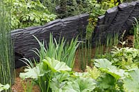 The M and G Garden, view of sustainable burnt oak timber sculpture by Johnny Woodford, small pond water feature planted with Gunnera, horsetail, ferns and shade loving plants – Designer: Andy Sturgeon - Sponsor: M and G Investments - RHS Chelsea 2019 