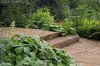 The M and G Garden, view of green garden planted with shade loving plants in a woodland garden, ironstone paving and steps – Designer: Andy Sturgeon - Sponsor: M and G 
