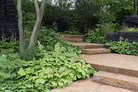 The M and G Garden, view of English ironstone steps in woodland garden, shade loving plants, sustainable burnt oak timber sculpture by Johnny Woodford, – Designer: Andy Sturgeon - Sponsor: M and G Investments 
