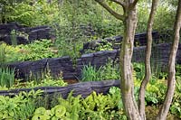 Woodland garden with blackened timber walls - Shou Sugi Ban, The M and G Garden, Design: Andy Sturgeon, Sponsor: M and G Investments