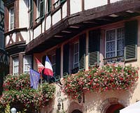 Historical hotel with window boxes