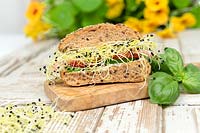 Sandwich with garlic microgreens
