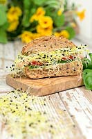 Sandwich with garlic microgreens