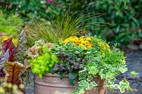 Fall plant container