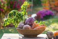 Vegetable mix in basket