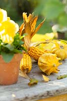 Fall decoration in yellow color tones