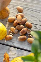 Fall impression with acorns