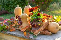 Fall decoration with Cucurbita Butternut