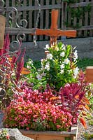 Grave planting with annuals