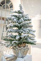 Christmas decoration with fir tree