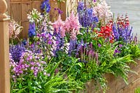 Perennial planting in pink, red and blue color tones