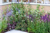 Perennial planting in blue and white color tones