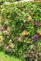 Living wall with perennials and ferns