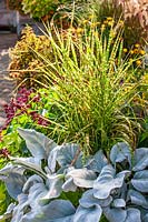 Fall planting with ornamental grass
