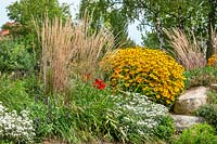 Planting with Rudbeckia and ornamental grasses