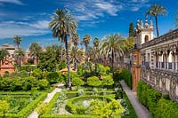 Formal parterre gardens with laurel hedging, Real Alcazar, Seville.