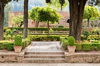 Orange trees - Citrus x sinensis and box hedging - Buxus sempervirens terraces in Jardines del Partal,  The Alhambra, Granada.