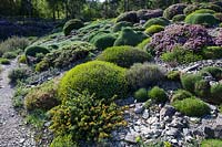A rock garden featuring alpines, April, Germany