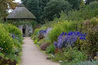 Double border of late-flowering perennials either side of a path leading to thatched building