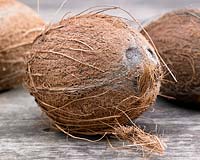 Cocos nucifera, coconut on wooden surface