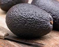 Persea americana 'Hass', Avocado on wooden surface with knife. 