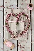 Calluna vulgaris Valentine heart