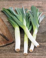 Allium porrum, Leeks, on wooden surface with chopping board and knife. 