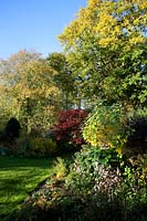 The canopies of trees create layers of colour in the Autumn garden
