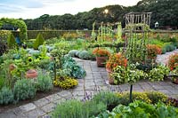 A view of a vegetable sand herb garden. 
