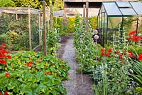 Vegetable garden with greenhouse and beds.