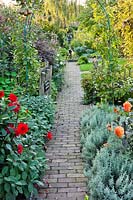 Kitchen garden path with Dahlias and sage.
