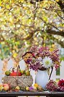 Jug of autumn flowers including Hydrangea, Sedum, Solidago, Gladiolus, Dahlia, Clerodendrum trichotomum and Amaranthus, next to basket of harvested pears and pumpkins on a table.