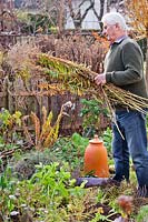 Clean up vegetable garden in autumn. Remove all of the spent plant material from the garden.