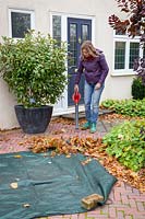 Woman using a leaf blower and sheet to gather up leaves from a patio. 