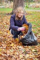 Woman gathering leaves in a bin bag to make leaf mould.