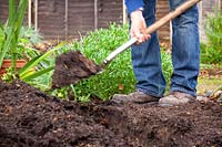 Man digging over a bed in the vegetable garden before winter
