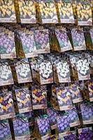 Packets of crocus bulbs for sale in a garden centre