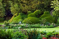 View across lawn to clipped topiary yew - Ablington Manor, Gloucestershire: 