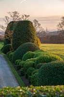 An evergreen clipped border at Brodsworth Hall, Yorkshire. 